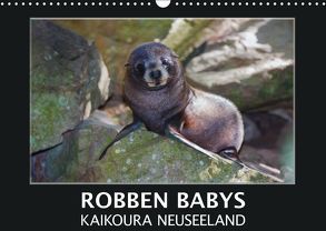 Robben Babys – Kaikoura Neuseeland (Wandkalender 2019 DIN A3 quer) von Bort,  Gundis