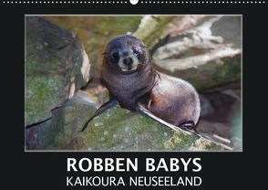 Robben Babys – Kaikoura Neuseeland (Wandkalender 2020 DIN A2 quer) von Bort,  Gundis