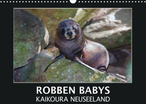 Robben Babys – Kaikoura Neuseeland (Wandkalender 2020 DIN A3 quer) von Bort,  Gundis