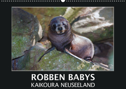 Robben Babys – Kaikoura Neuseeland (Wandkalender 2021 DIN A2 quer) von Bort,  Gundis