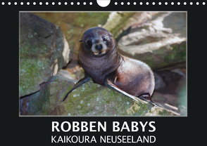 Robben Babys – Kaikoura Neuseeland (Wandkalender 2021 DIN A4 quer) von Bort,  Gundis