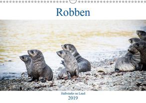 Robben – Halbstarke an Land (Wandkalender 2019 DIN A3 quer) von Siegl aka THE DUN DOG,  Nadja