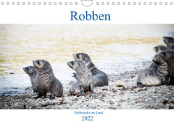 Robben – Halbstarke an Land (Wandkalender 2022 DIN A4 quer) von Siegl aka THE DUN DOG,  Nadja