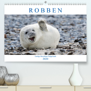 Robben – Lustige Bewohner Helgolands (Premium, hochwertiger DIN A2 Wandkalender 2020, Kunstdruck in Hochglanz) von Orth,  Egid