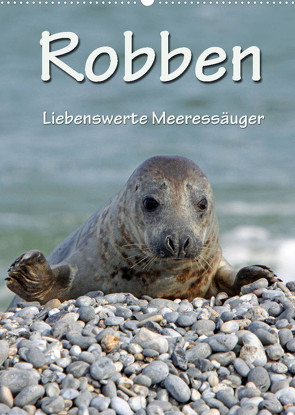 Robben (Premium, hochwertiger DIN A2 Wandkalender 2022, Kunstdruck in Hochglanz) von Berg,  Martina
