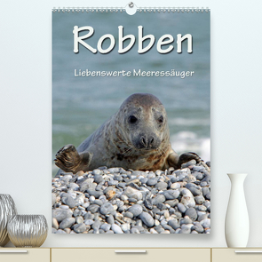 Robben (Premium, hochwertiger DIN A2 Wandkalender 2023, Kunstdruck in Hochglanz) von Berg,  Martina