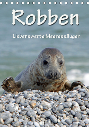 Robben (Tischkalender 2020 DIN A5 hoch) von Berg,  Martina