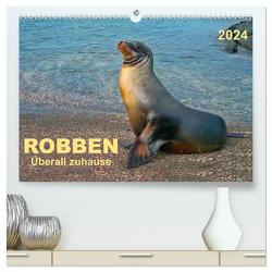 Robben – überall zuhause (hochwertiger Premium Wandkalender 2024 DIN A2 quer), Kunstdruck in Hochglanz von Roder,  Peter
