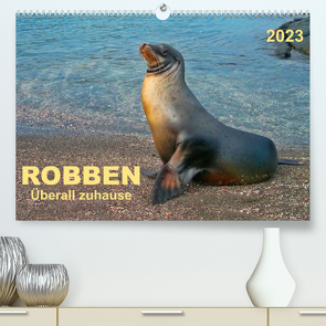 Robben – überall zuhause (Premium, hochwertiger DIN A2 Wandkalender 2023, Kunstdruck in Hochglanz) von Roder,  Peter