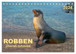 Robben – überall zuhause (Tischkalender 2024 DIN A5 quer), CALVENDO Monatskalender von Roder,  Peter