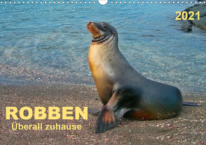 Robben – überall zuhause (Wandkalender 2021 DIN A3 quer) von Roder,  Peter