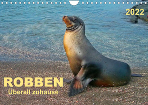 Robben – überall zuhause (Wandkalender 2022 DIN A4 quer) von Roder,  Peter