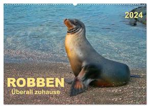 Robben – überall zuhause (Wandkalender 2024 DIN A2 quer), CALVENDO Monatskalender von Roder,  Peter