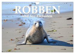 Robben und See-Elefanten (Wandkalender 2024 DIN A4 quer), CALVENDO Monatskalender von Styppa,  Robert