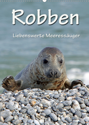 Robben (Wandkalender 2021 DIN A2 hoch) von Berg,  Martina