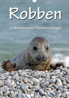 Robben (Wandkalender 2021 DIN A3 hoch) von Berg,  Martina