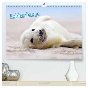 Robbenbabys (hochwertiger Premium Wandkalender 2024 DIN A2 quer), Kunstdruck in Hochglanz von Sturm,  Jenny