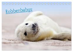 Robbenbabys (Tischkalender 2024 DIN A5 quer), CALVENDO Monatskalender von Sturm,  Jenny