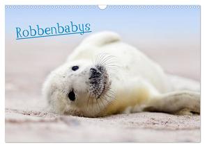 Robbenbabys (Wandkalender 2024 DIN A3 quer), CALVENDO Monatskalender von Sturm,  Jenny