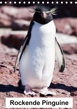 Rockende Pinguine (Tischkalender 2021 DIN A5 hoch) von Reuke,  Sabine