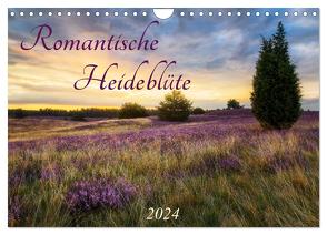 Romantische Heideblüte (Wandkalender 2024 DIN A4 quer), CALVENDO Monatskalender von Beyer (Moqui),  Daniela
