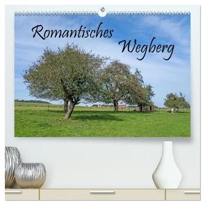 Romantisches Wegberg (hochwertiger Premium Wandkalender 2024 DIN A2 quer), Kunstdruck in Hochglanz von Maibach,  Natalja