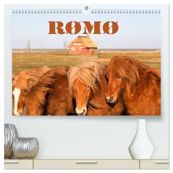 Rømø (hochwertiger Premium Wandkalender 2024 DIN A2 quer), Kunstdruck in Hochglanz von photo impressions,  D.E.T.