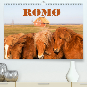 Rømø (Premium, hochwertiger DIN A2 Wandkalender 2021, Kunstdruck in Hochglanz) von photo impressions,  D.E.T.