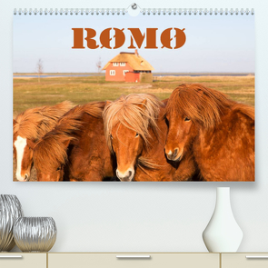 Rømø (Premium, hochwertiger DIN A2 Wandkalender 2023, Kunstdruck in Hochglanz) von photo impressions,  D.E.T.