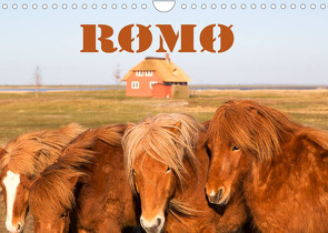 Rømø (Wandkalender 2022 DIN A4 quer) von photo impressions,  D.E.T.