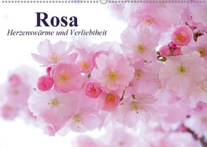 Rosa. Herzenswärme und Verliebtheit (Wandkalender 2018 DIN A2 quer) von Stanzer,  Elisabeth