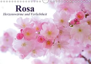 Rosa. Herzenswärme und Verliebtheit (Wandkalender 2018 DIN A4 quer) von Stanzer,  Elisabeth