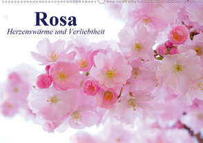 Rosa. Herzenswärme und Verliebtheit (Wandkalender 2021 DIN A2 quer) von Stanzer,  Elisabeth