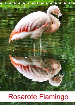 Rosarote Flamingo (Tischkalender 2023 DIN A5 hoch) von kattobello