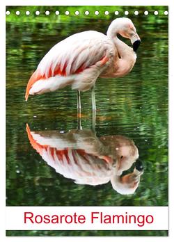 Rosarote Flamingo (Tischkalender 2024 DIN A5 hoch), CALVENDO Monatskalender von Kattobello,  Kattobello