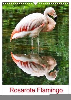 Rosarote Flamingo (Wandkalender 2024 DIN A3 hoch), CALVENDO Monatskalender von Kattobello,  Kattobello