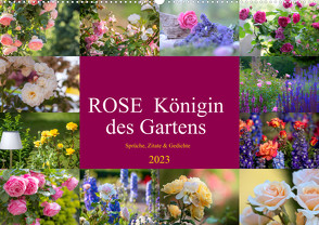 Rose Königin des Gartens (Wandkalender 2023 DIN A2 quer) von Riedel,  Tanja