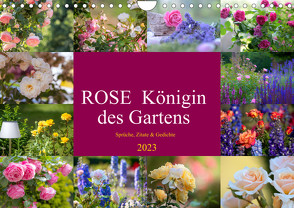 Rose Königin des Gartens (Wandkalender 2023 DIN A4 quer) von Riedel,  Tanja