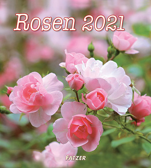 Rosen 2022 (Wandkalender)
