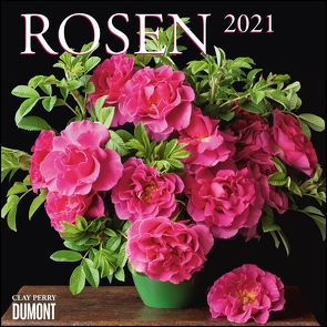 Rosen 2021 ‒ Broschürenkalender ‒ Format 30 x 30 cm von Perry,  Clay