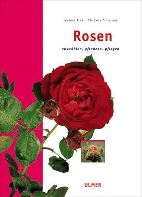 Rosen von Eve,  André, Vialard,  Noémie