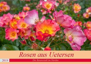 Rosen aus Uetersen (Wandkalender 2019 DIN A2 quer) von Steiner / Matthias Konrad,  Carmen