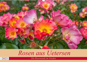 Rosen aus Uetersen (Wandkalender 2023 DIN A2 quer) von Steiner / Matthias Konrad,  Carmen