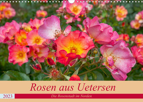 Rosen aus Uetersen (Wandkalender 2023 DIN A3 quer) von Steiner / Matthias Konrad,  Carmen