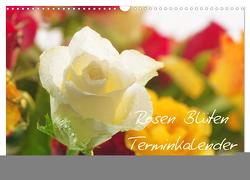 Rosen Blüten Terminkalender (Wandkalender 2024 DIN A3 quer), CALVENDO Monatskalender von Riedel,  Tanja