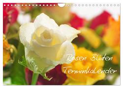 Rosen Blüten Terminkalender (Wandkalender 2024 DIN A4 quer), CALVENDO Monatskalender von Riedel,  Tanja