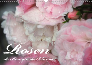 Rosen, die Königin der Blumen (Wandkalender 2021 DIN A3 quer) von VogtArt