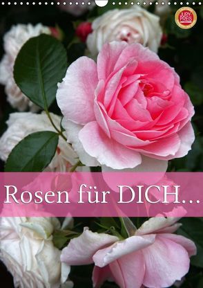 Rosen für DICH / Geburtstagskalender (Wandkalender 2019 DIN A3 hoch) von Cross,  Martina
