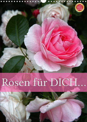 Rosen für DICH / Geburtstagskalender (Wandkalender 2023 DIN A3 hoch) von Cross,  Martina