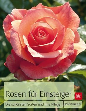 Rosen für Einsteiger von Markley,  Robert